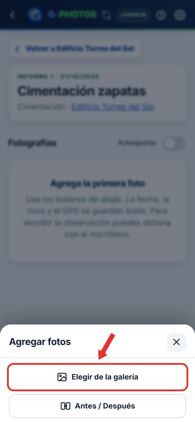 Fotos de la galería