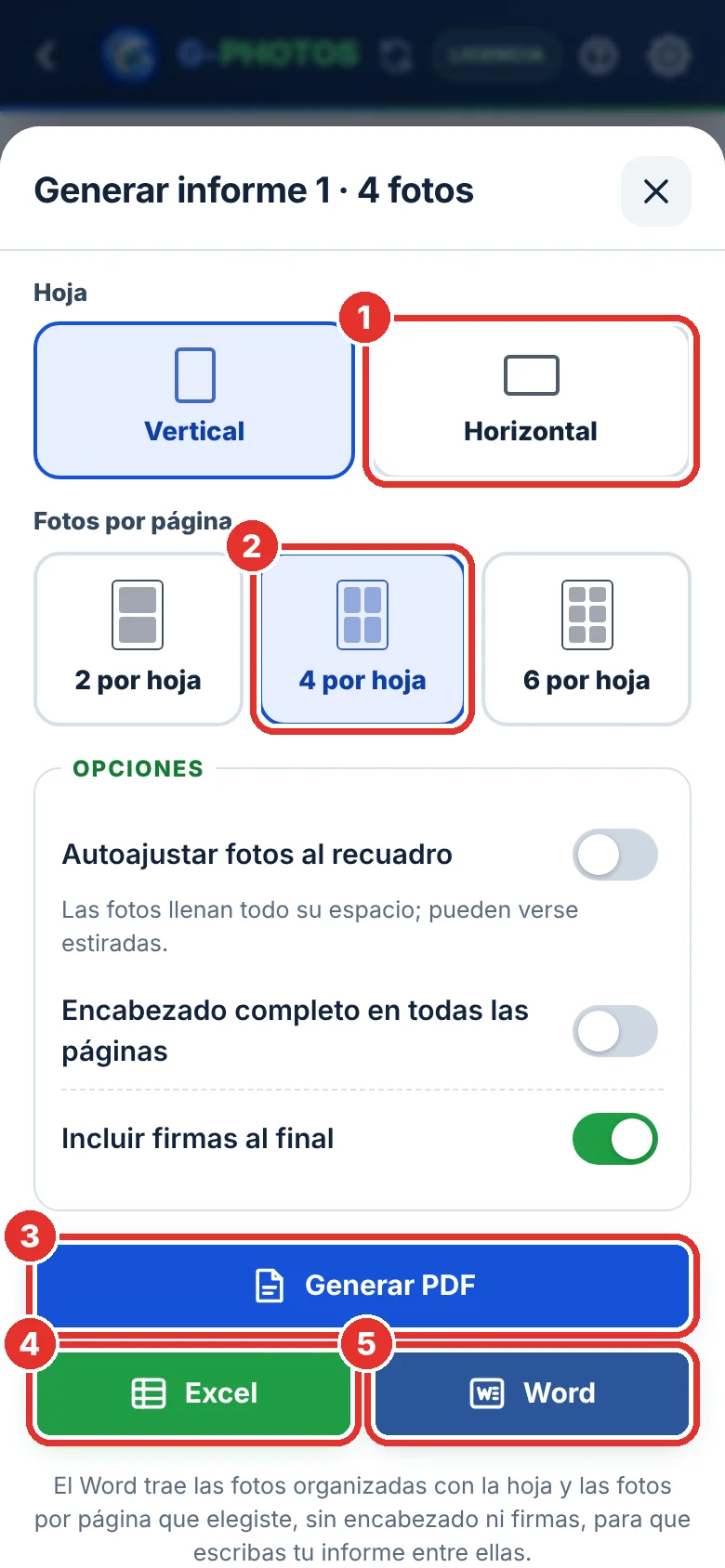 Elige cómo quieres el informe