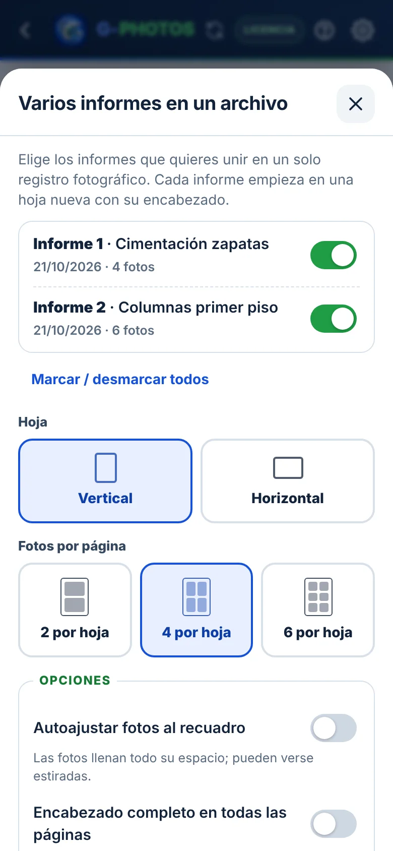 Varios informes en uno